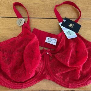 NWT 42D Red Wacoal Retro Chic Full Figure Underwire Bra  Style # 855186